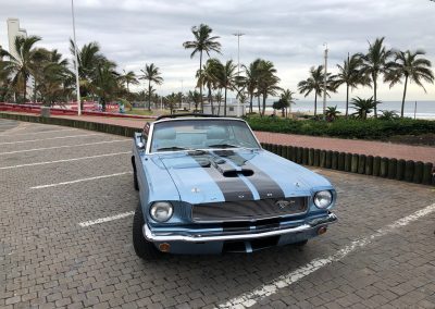 durban-special-places-and-things