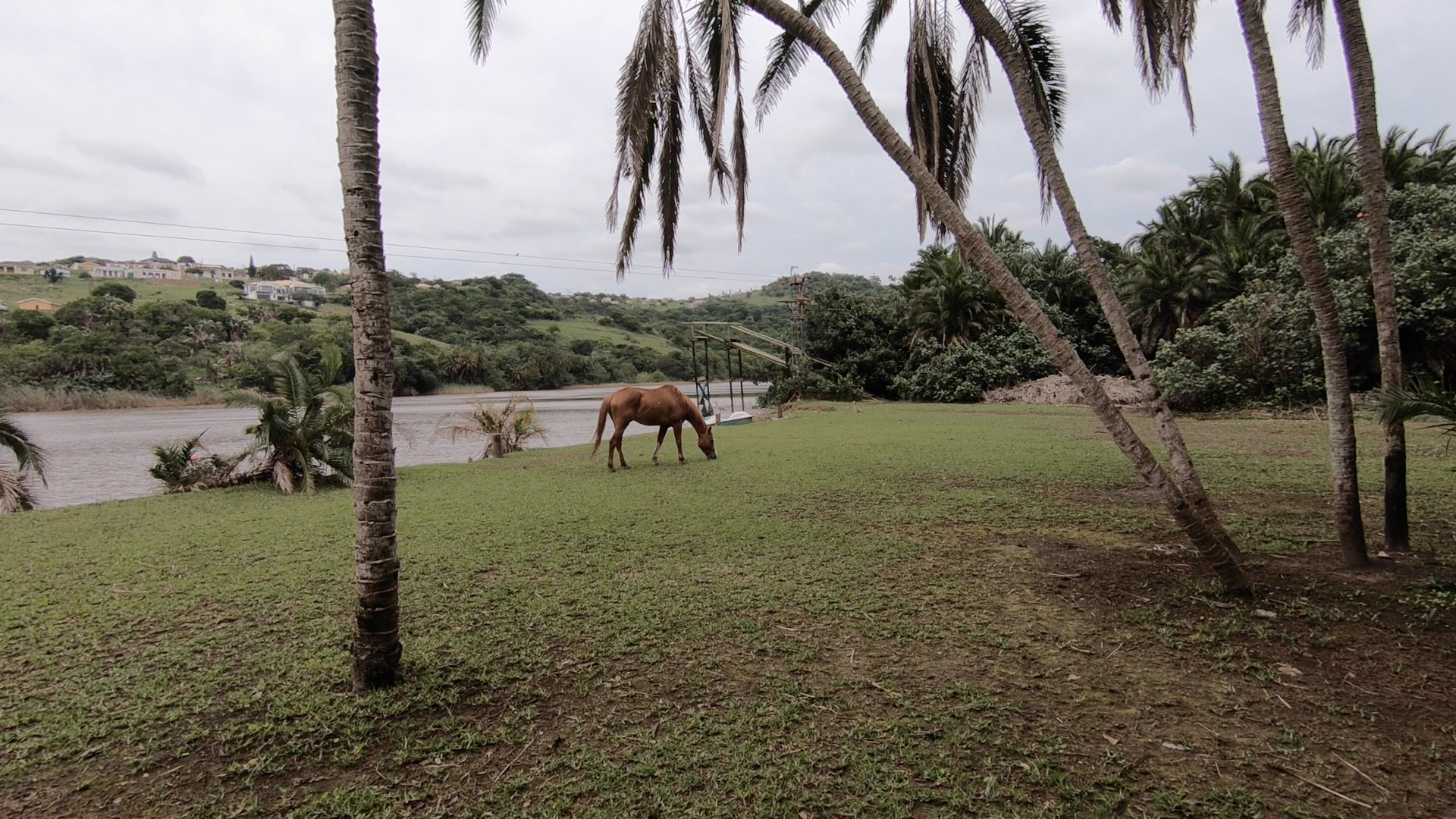 umtanvuna-river-lodge-horse umtanvuna-river-lodge-horse